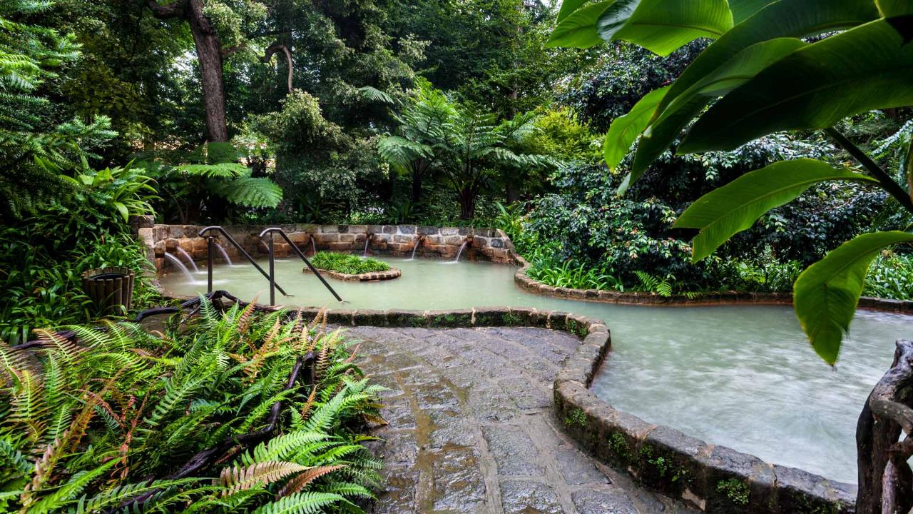 Furnas HotSprings & Botanic Garden Tour