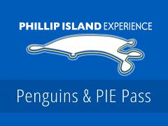 Penguins & PIE Pass