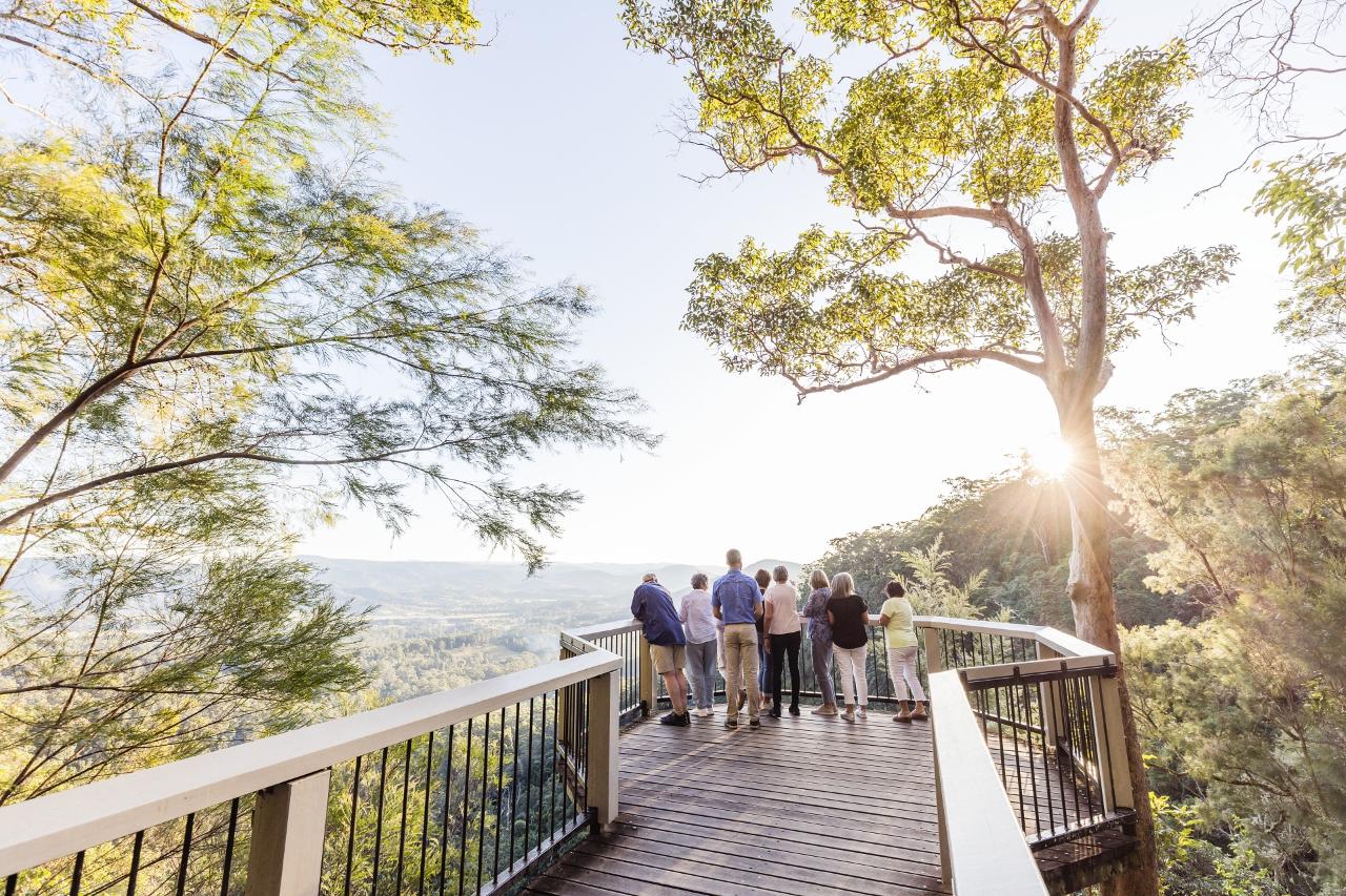 Glasshouse Mountains Rainforest Walk Full Tour (Lunch with 2 drinks per person)