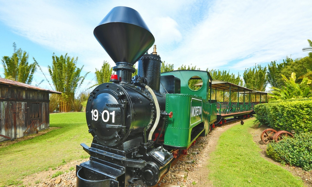 Rainforests, Views and Montville Tour Inc. Lunch