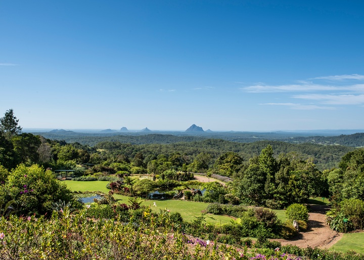 Botanical Gardens Sunshine Coast & Rainforest Private Tour