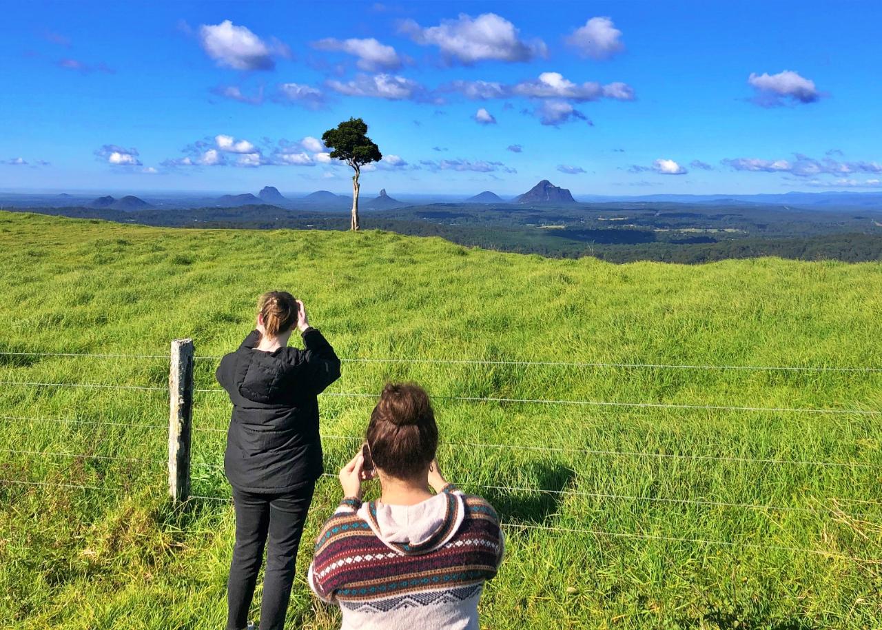 Hinterland Highlights Tour: Discover Maleny and Montville