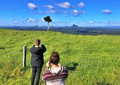 Sunshine Coast Hinterland Highlights Tour: Discover Maleny and Montville