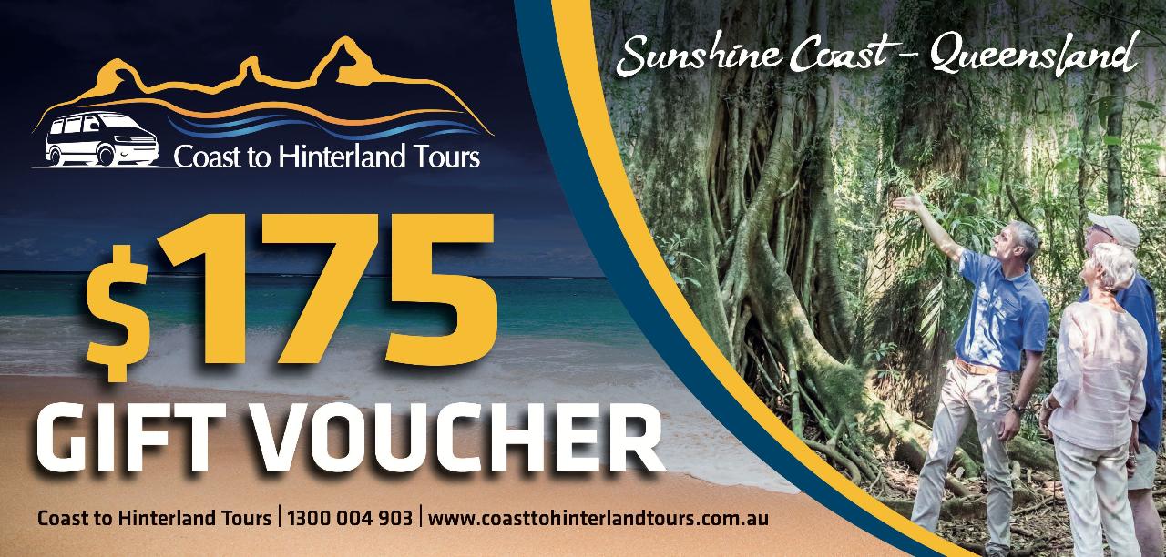 $175 Gift Voucher