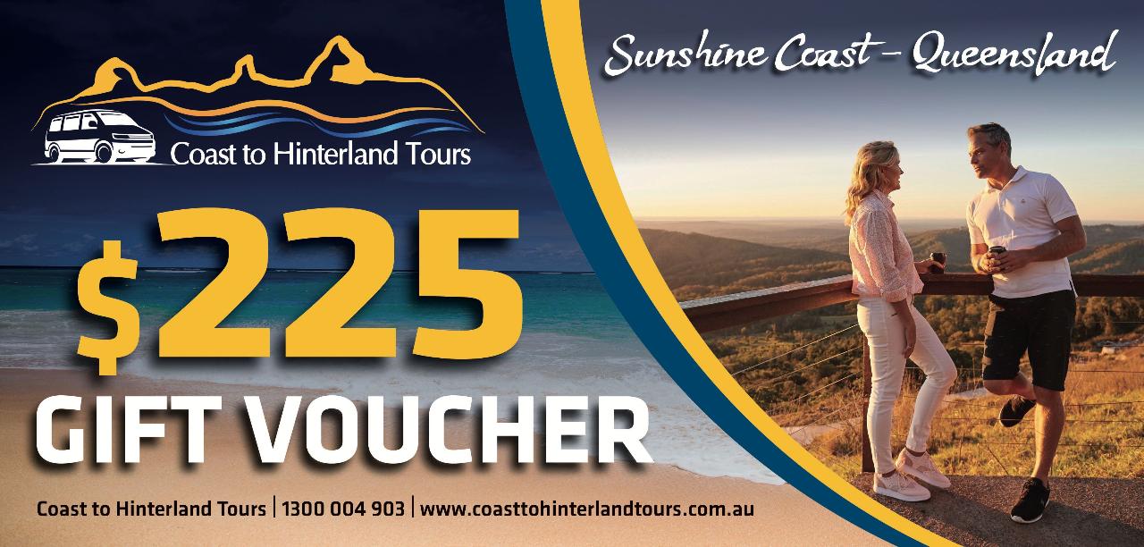 $225 Gift Voucher