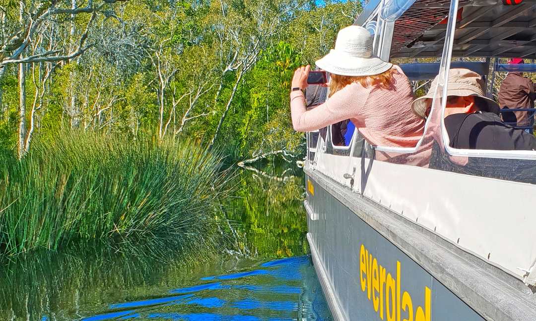 Noosa Everglades Private Tour – Cruise & Highlights