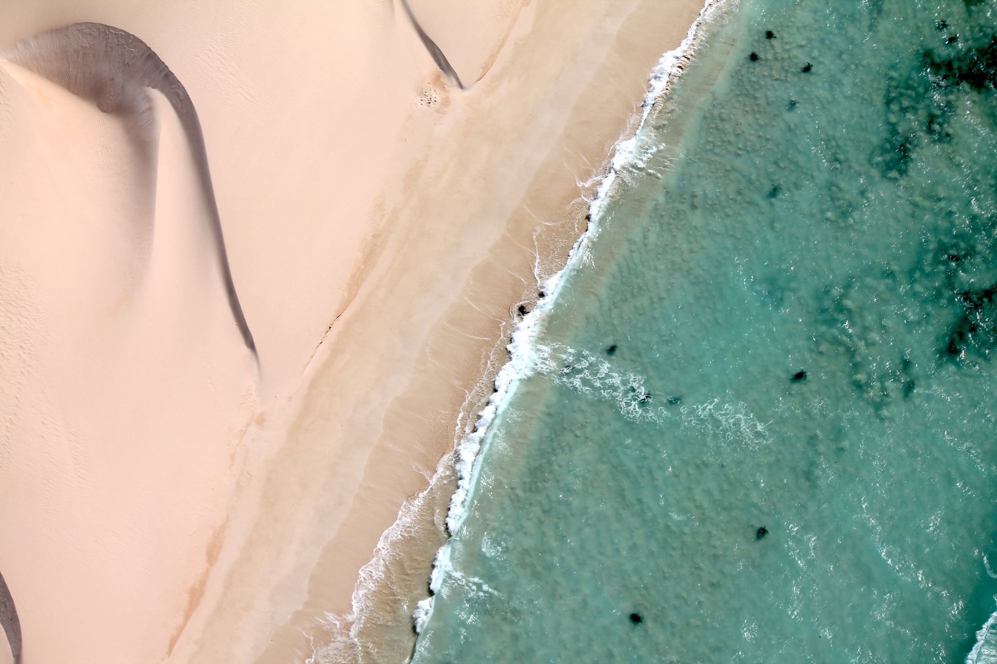 90 min NorCape Explorer