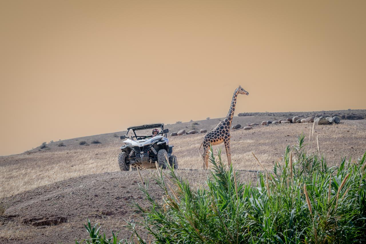 Sunset Buggy & Camel Combo in Agafay Desert w/ Authentic Dinner * Combo Buggy & Drom avec Diner Authentique