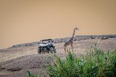Sunset Buggy & Camel Combo in Agafay Desert w/ Authentic Dinner * Combo Buggy & Drom avec Diner Authentique