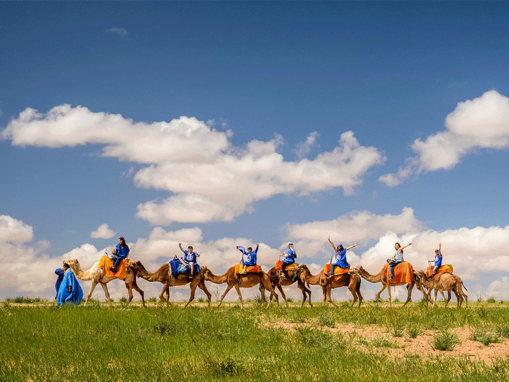 Camel Ride in Marrakech GYG