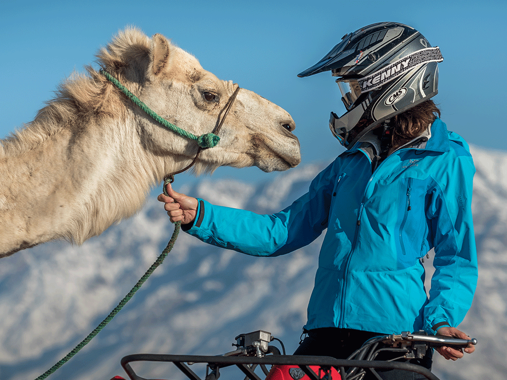 FD Camel & Quad Combo in Agafay * Journée Combo Dromadaire & Quad