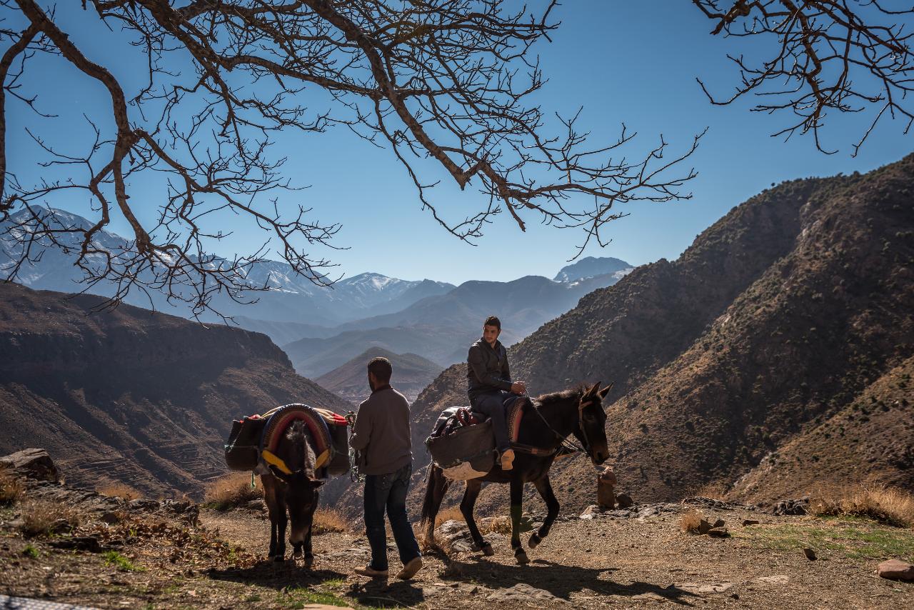 Day Trip by Foot in Atlas Mountains Ourika * Private 