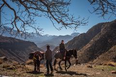 Day Trip by Foot in Atlas Mountains Ourika * Private 