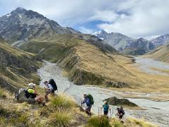 Mackenzie Alpine Hiking Tour 