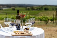 Knappstein Wines - Terroir to Table 