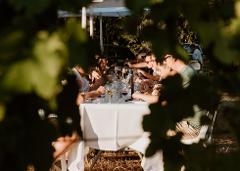2024 Clare Gourmet - Knappstein Winemaker's Long Lunch in Vineyard