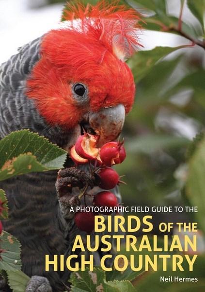 Birds of the Australian High Country