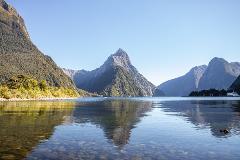 Milford Sound 7:30am / Scenic Tour & Cruise (incl. Picnic Lunch)