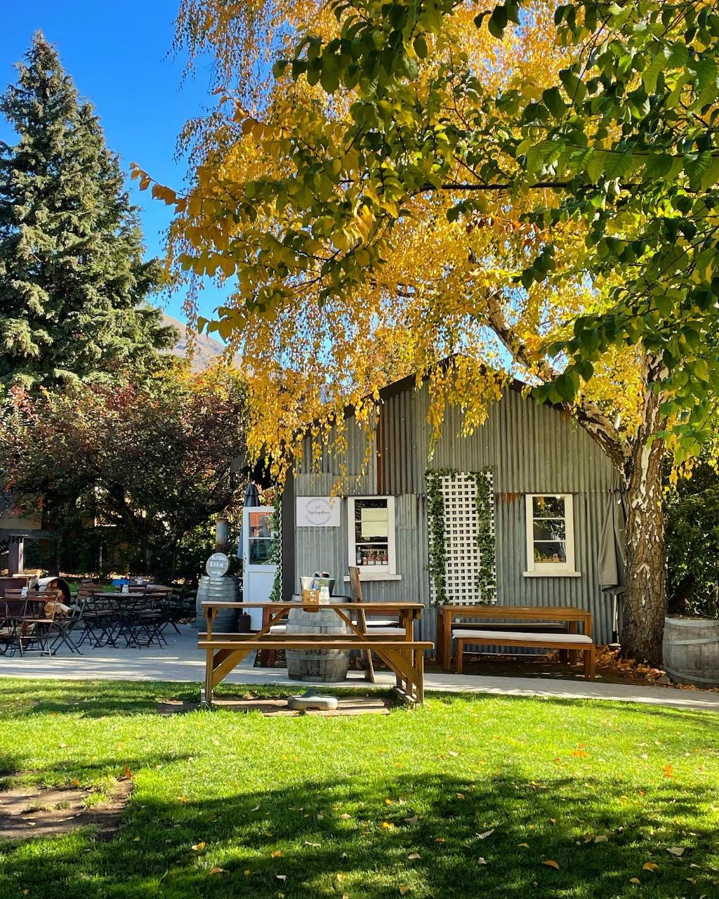 Altitude Tours: Twilight Wine & Craft Beer Tour — Central Otago - Photo 3