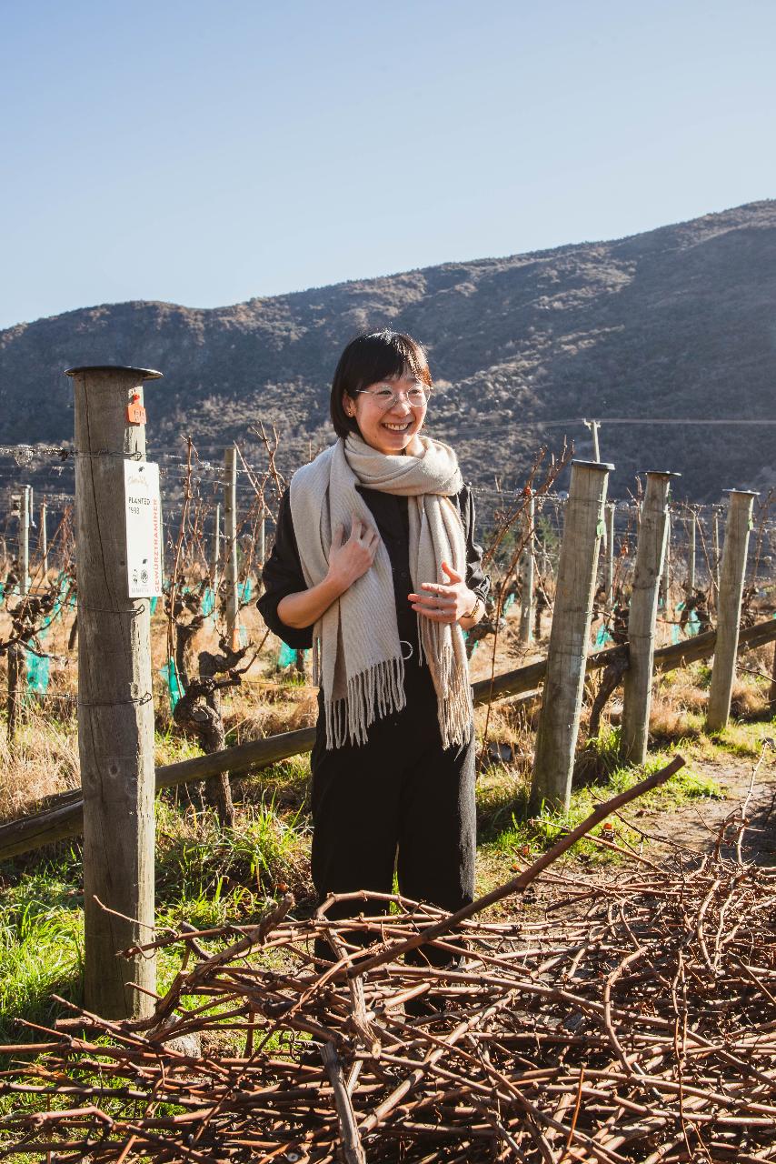 Altitude Tours: Queenstown Wine Sampler — Central Otago - Photo 2