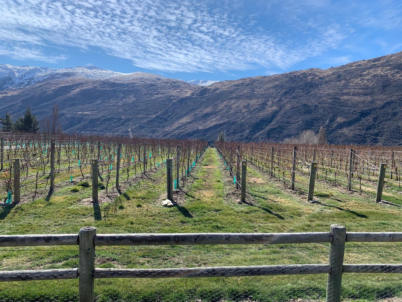 Private Charter - Custom Wine Tour