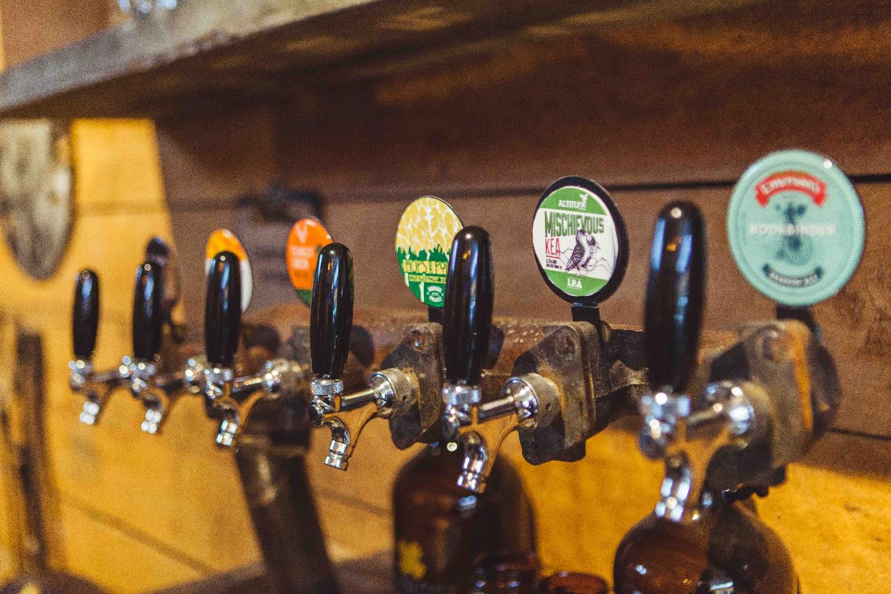 Altitude Tours: Twilight Wine & Craft Beer Tour — Central Otago - Photo 8