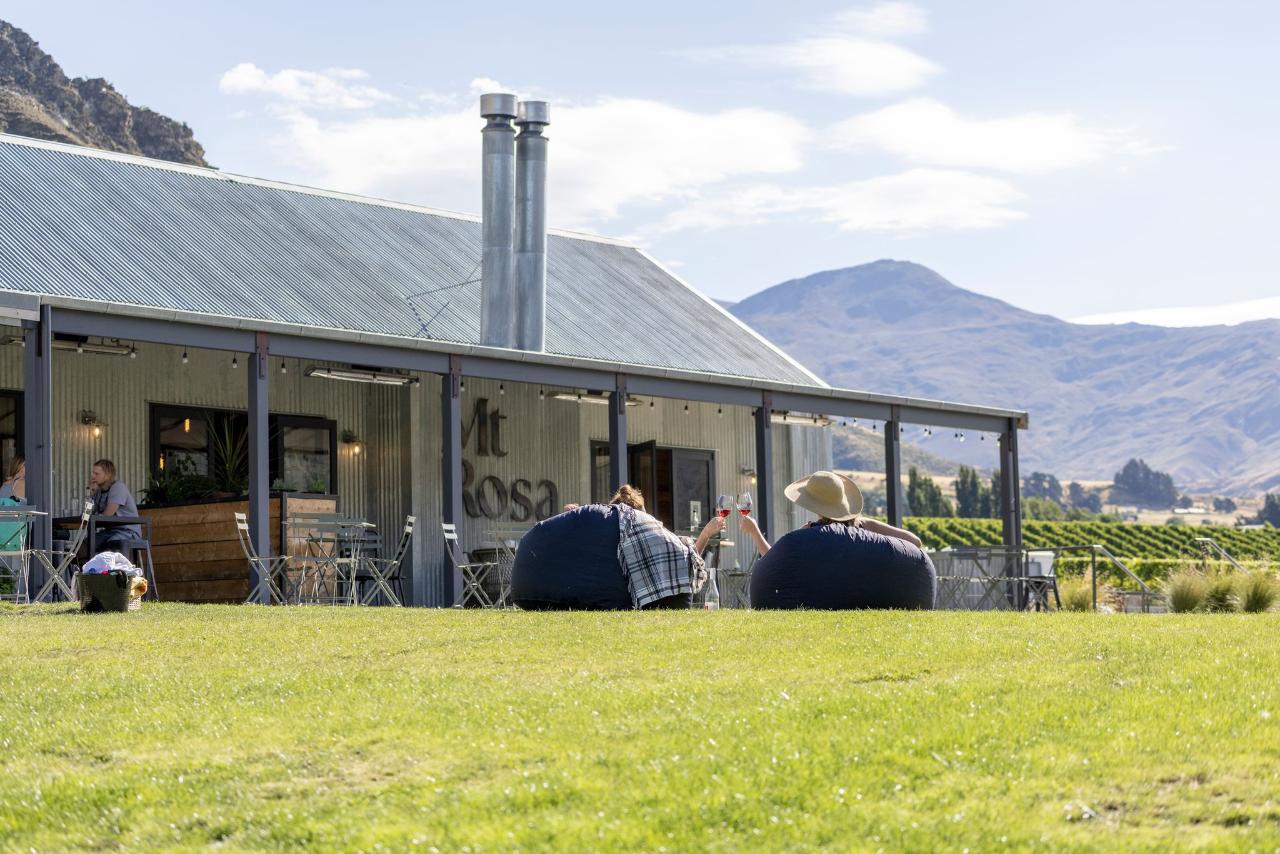 Altitude Tours: Queenstown Wine Sampler — Central Otago - Photo 9