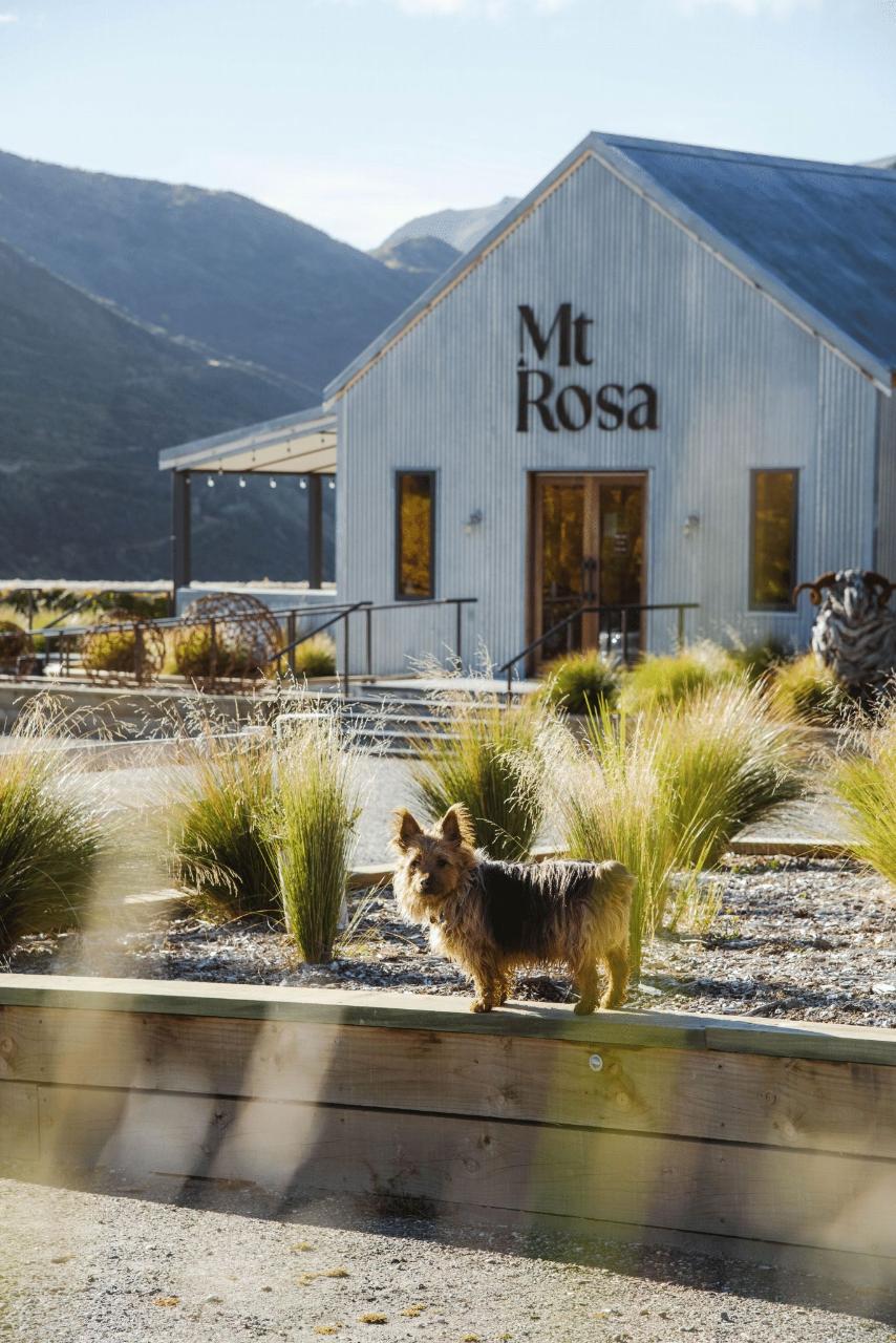 Altitude Tours: Queenstown Wine Sampler — Central Otago - Photo 8