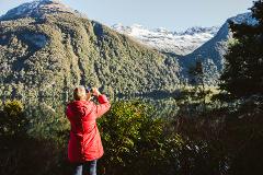 Milford Sound 6:00am / Glass Roof Scenic Tour & Cruise (only available December - March)