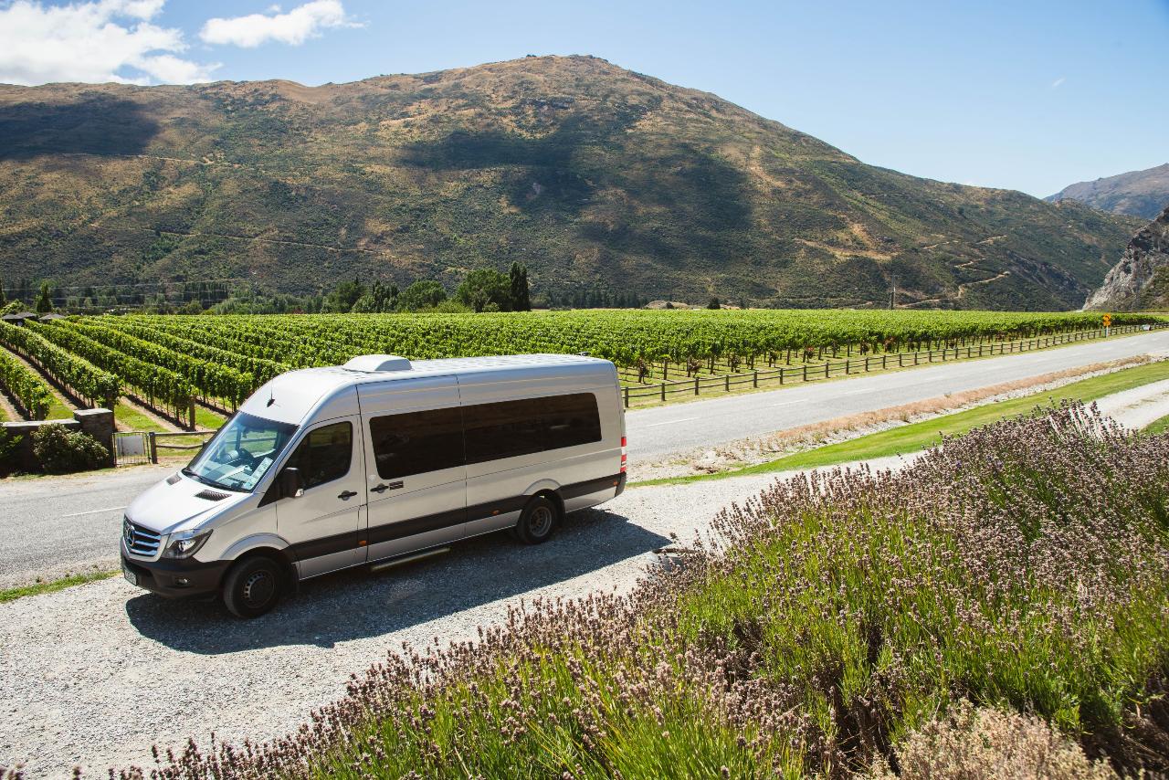 Altitude Tours: Queenstown Wine Sampler — Central Otago - Photo 1