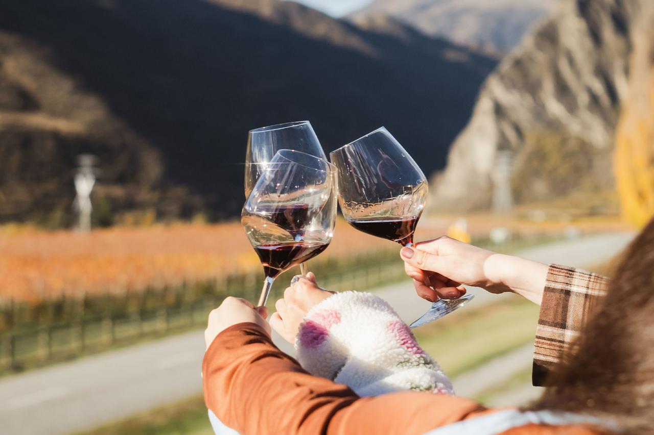 Altitude Tours: Queenstown Wine Sampler — Central Otago - Photo 20