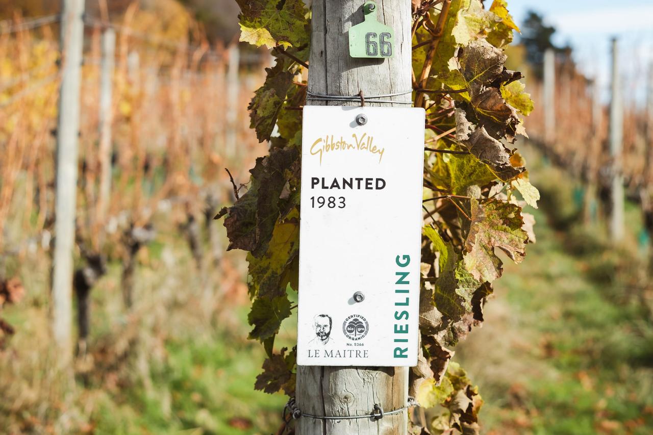 Altitude Tours: Queenstown Wine Sampler — Central Otago - Photo 22
