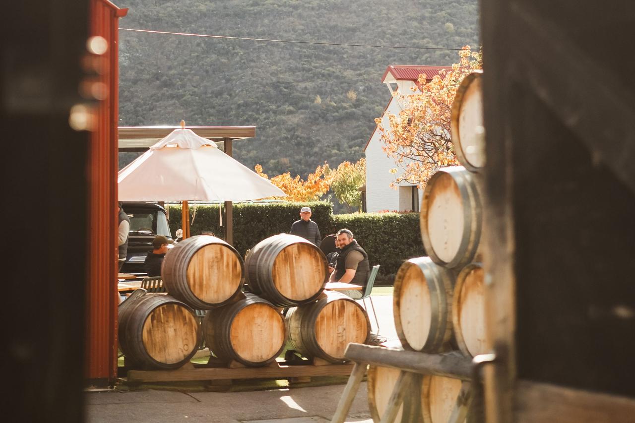 Altitude Tours: Queenstown Wine Sampler — Central Otago - Photo 23