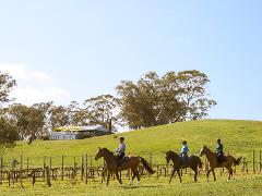 Horse Trail Ride & Tasting at Petaluma (TC)