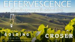 Effervescence - A Sparkling Experience