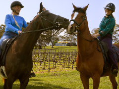 VIP Private Horse Trail Ride & Lunch with Olympian Megan Jones at Petaluma