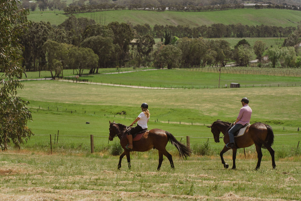 Romantic Private Horse Trail Ride Package at Petaluma (TC)