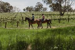 Horse Trail Ride & Tasting Experience at Petaluma