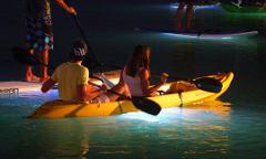 Guided Sunset Kayak Tour
