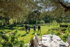 4 Day Guided Walk Clare Valley