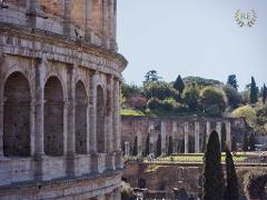 Colosseum Belvedere and Ancient Rome Tour