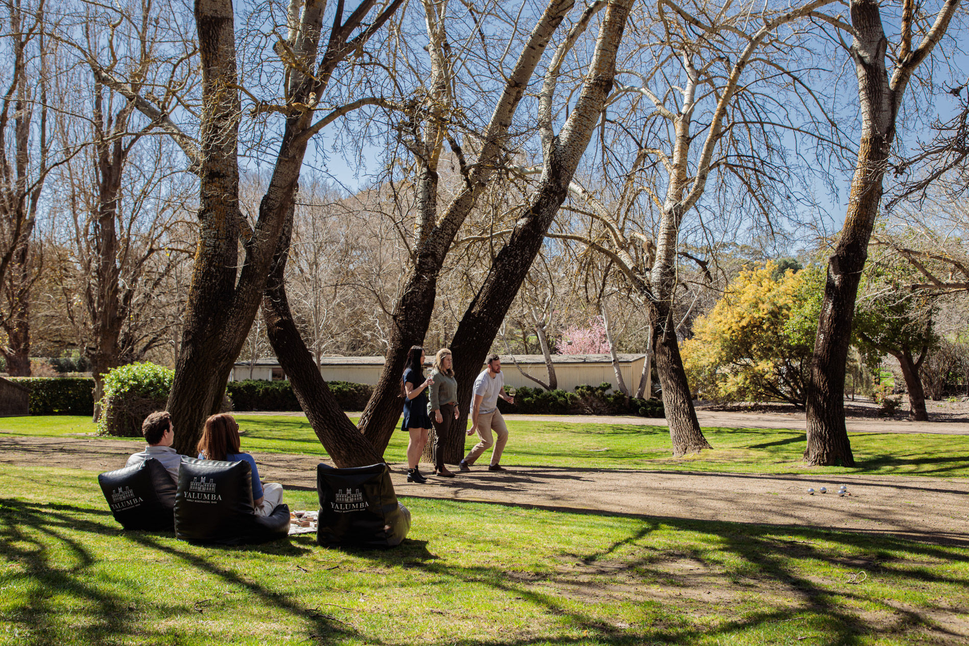 Yalumba Estate Picnic