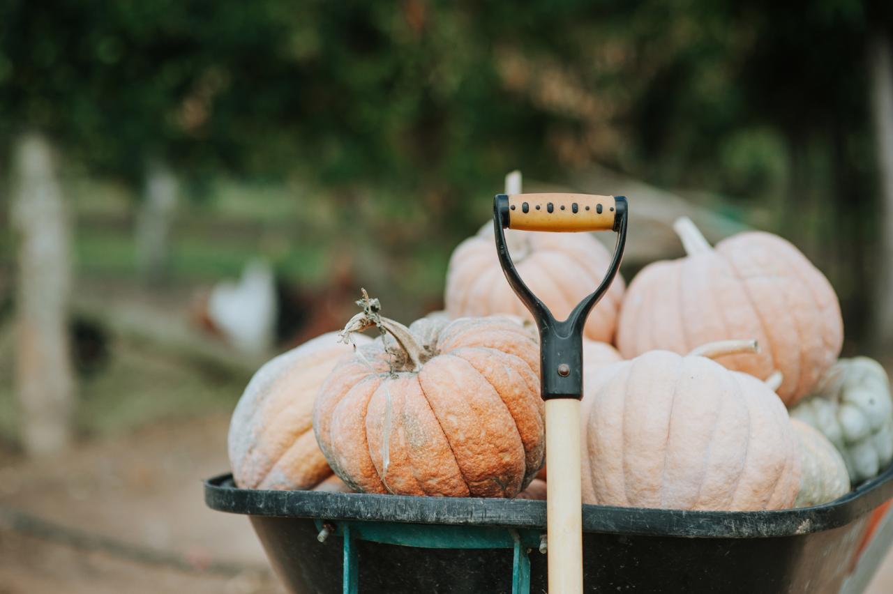 Autumn School Holidays - Mini Growers Family Fun