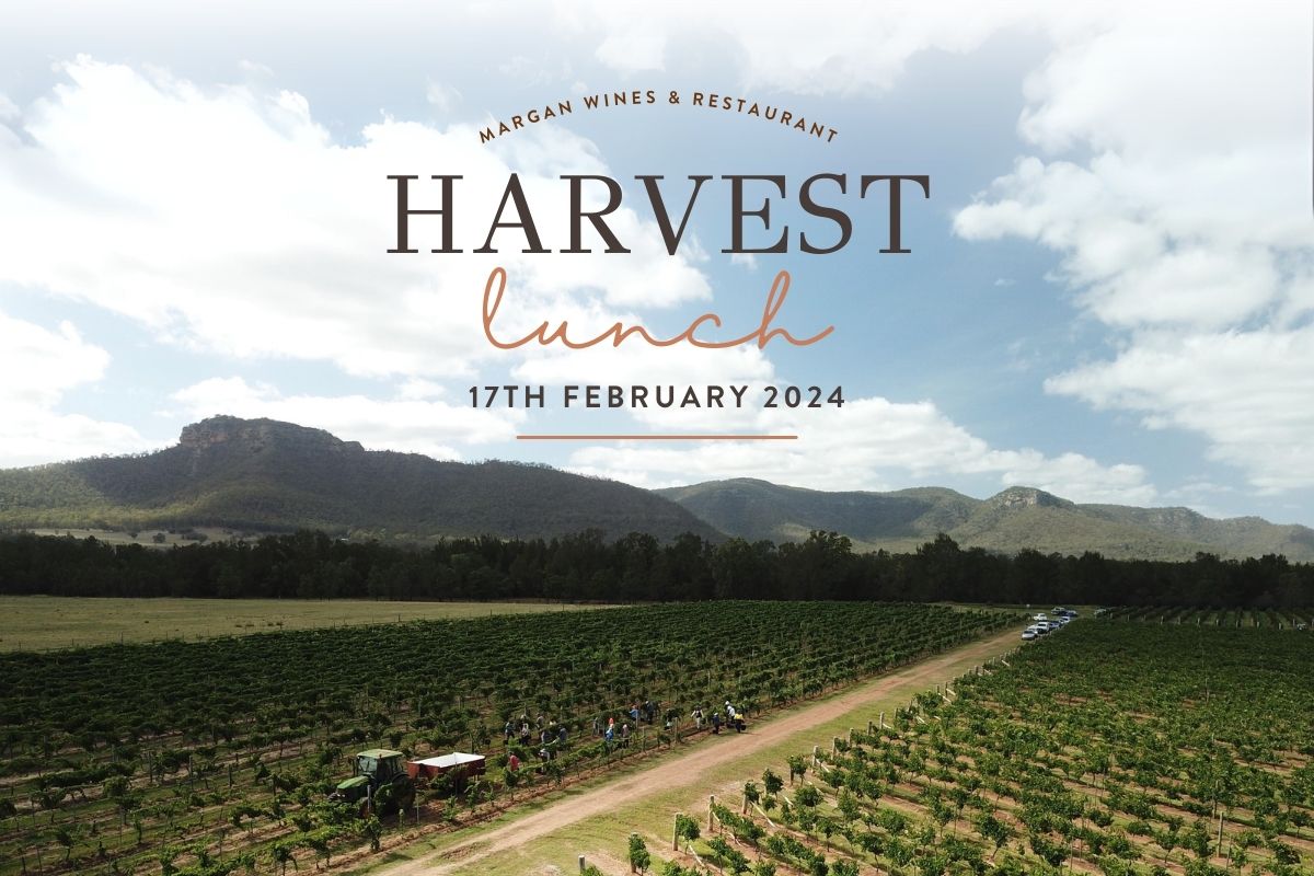 Harvest Lunch 2024