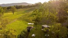 Picnic in the Vines - 22nd October 2022
