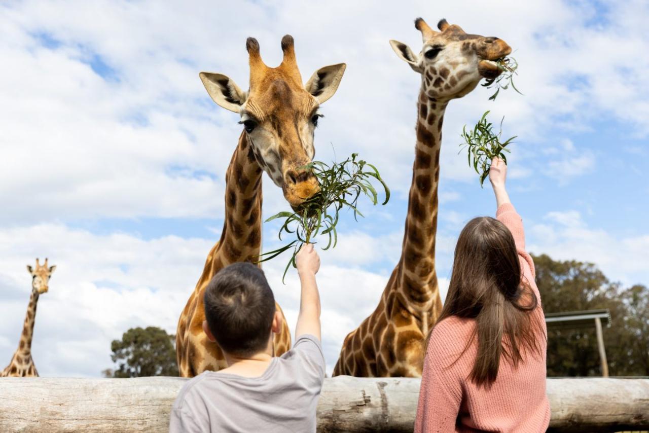 Ultimate Hunter Valley Family Fun Experience
