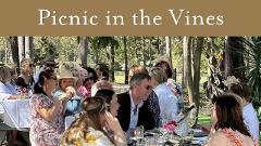 Picnic in the Vines Long Lunch | Saddlers Creek Wines