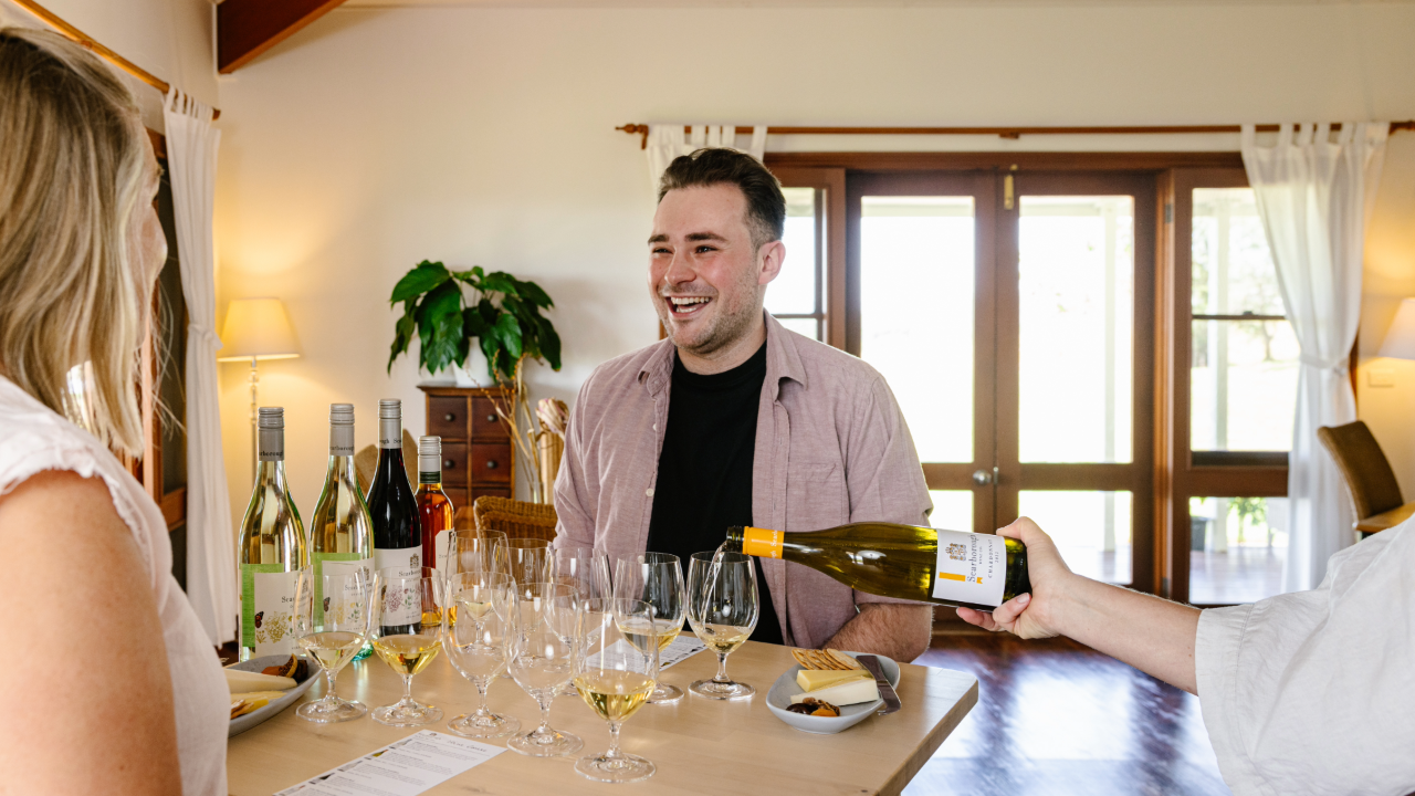 1 Hour Wine Experience