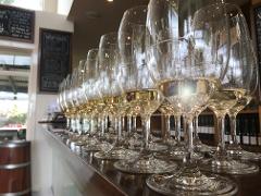 Punt Road Wines - Cellar Door Tasting Session - Medium Groups (7-12) guests)