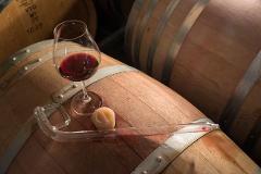 Barrel Room Tasting with the Winemaker